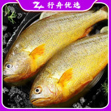共同