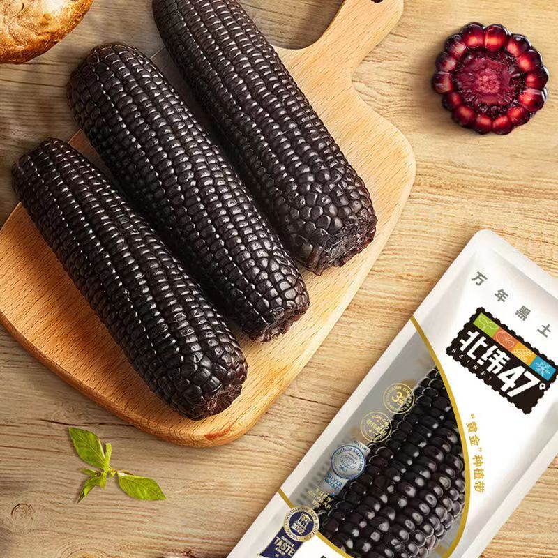 【吴老板专属】北纬47度·黑珍珠甜糯鲜玉米·10穗