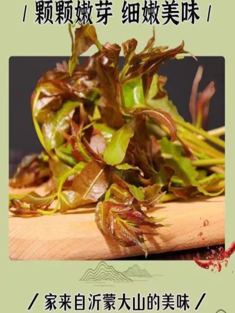 【10瓶装】香椿酱 下饭酱 沂蒙香椿嫩芽酱 瓶装下饭拌面香辣原味酱料