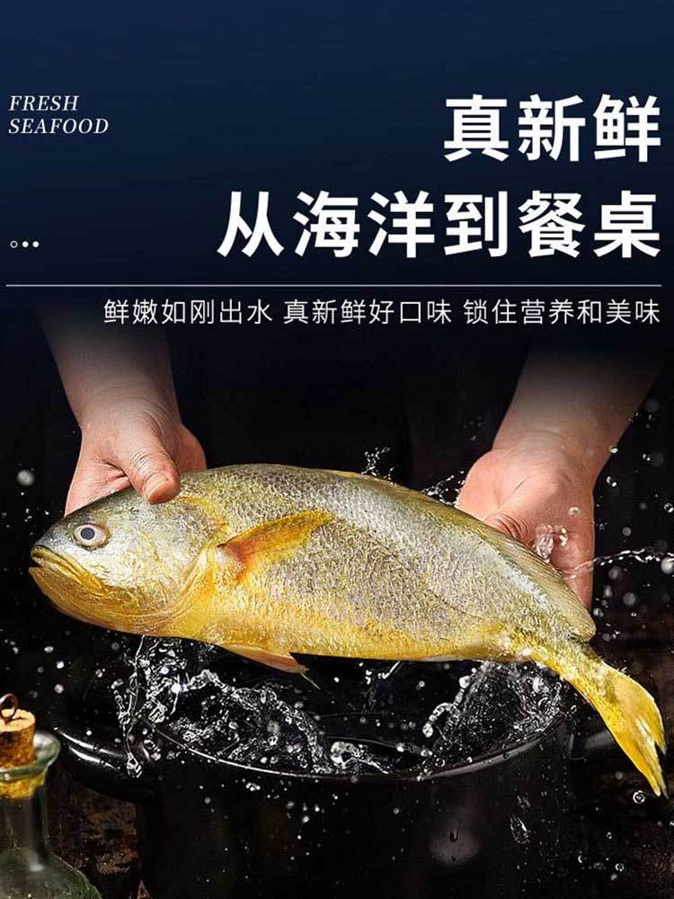 【到手3条】深海黄花鱼250g左右/条（顺丰包邮）