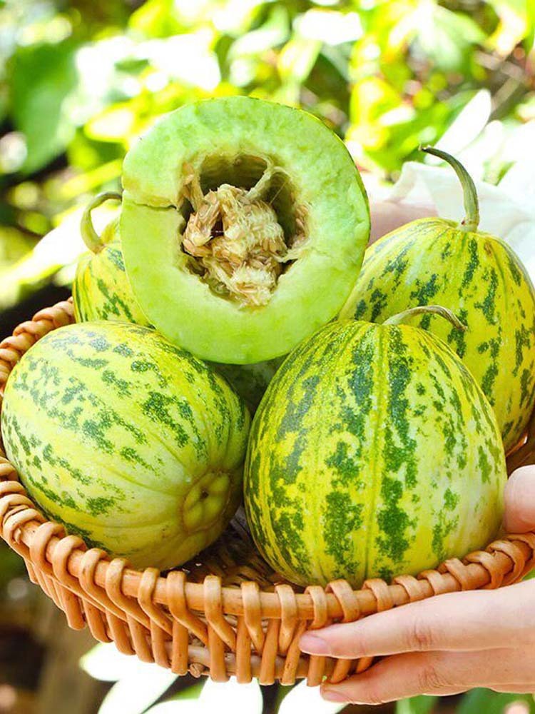 辽宁 花美人蜜罐甜瓜·带箱5斤