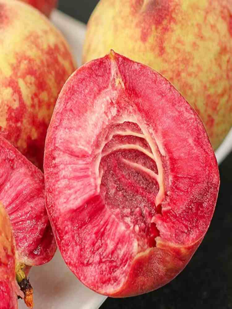 老树血桃 净重4.5斤约18-25个 水果老树桃子新鲜 现摘当季桃子