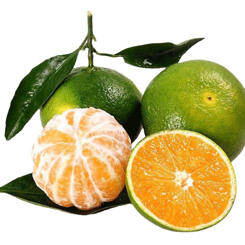 云南华宁无籽蜜橘8斤 5个/斤所有评论