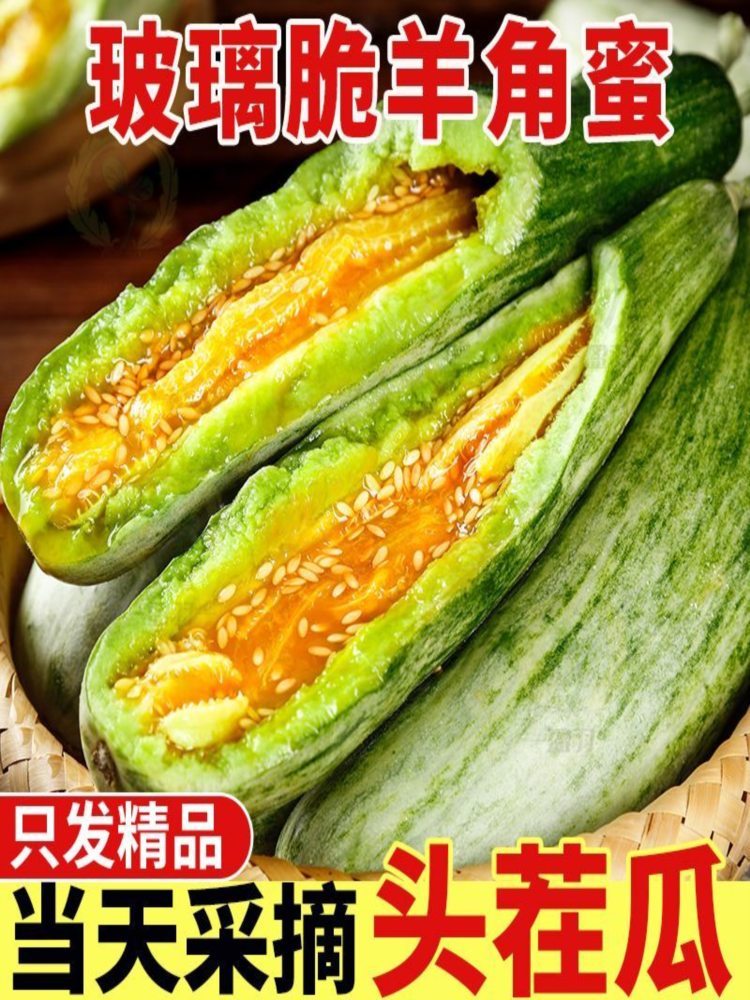 羊角蜜甜瓜 3斤装 净重2.5-2.7斤 头茬原棚高品质(山东菏泽)