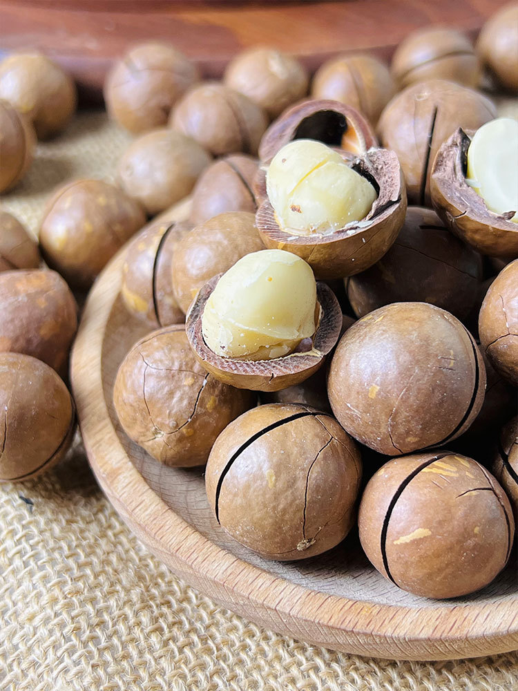 【多送1袋到手4袋 0 添加】新疆2025原味夏威夷果500g/袋*3袋