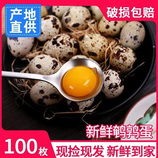100枚