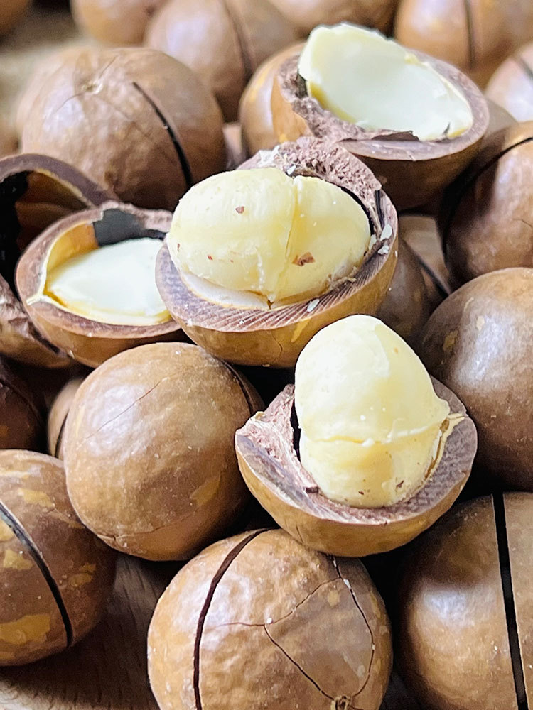 【多送1袋到手4袋 0 添加】新疆2025原味夏威夷果500g/袋*3袋