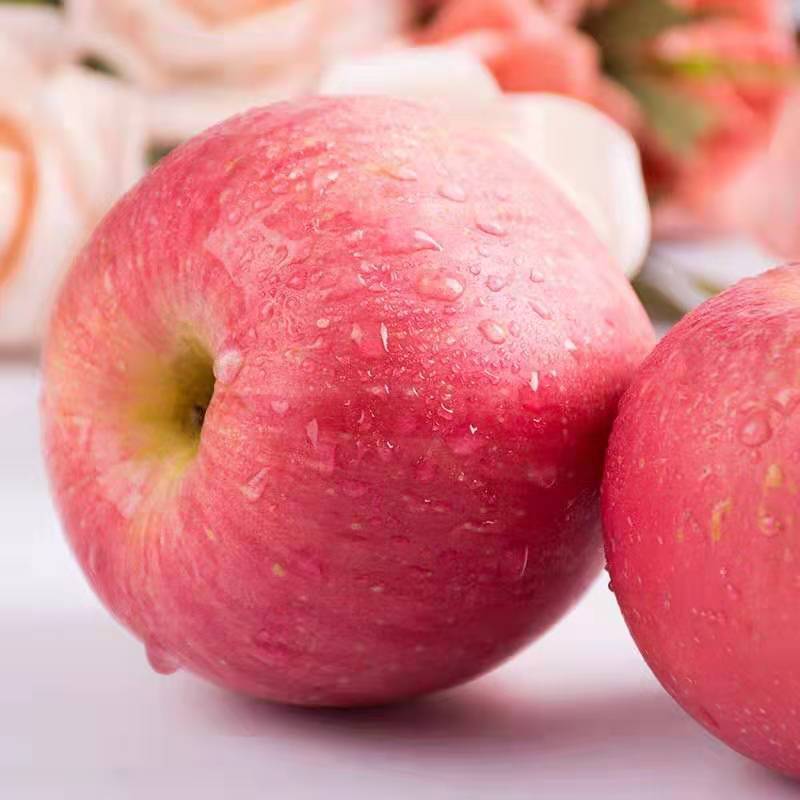 【果哥推荐】山西运城临猗苹果特级果9斤(85-95mm)