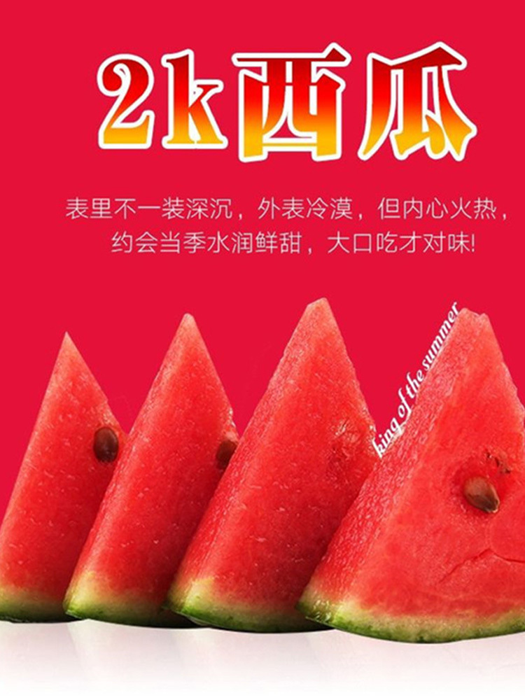 早春红玉2K西瓜·净重4-5斤【2-3个瓜】