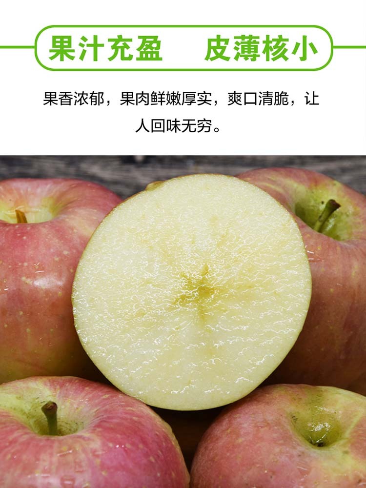【山西苹果】红富士苹果8.5斤【75mm+】泡沫托装 香甜多汁 爽口清脆