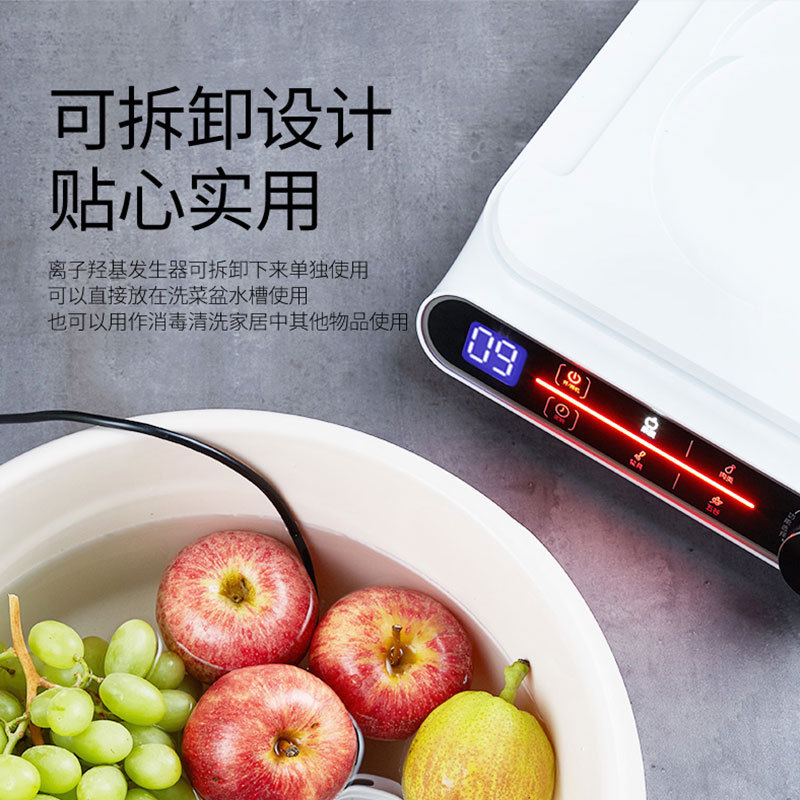韩国大宇QX1果蔬清洗机洗菜机家用食材消毒机