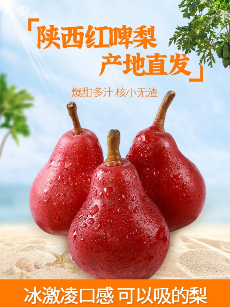 顺丰快递陕西红啤梨4.5斤净重