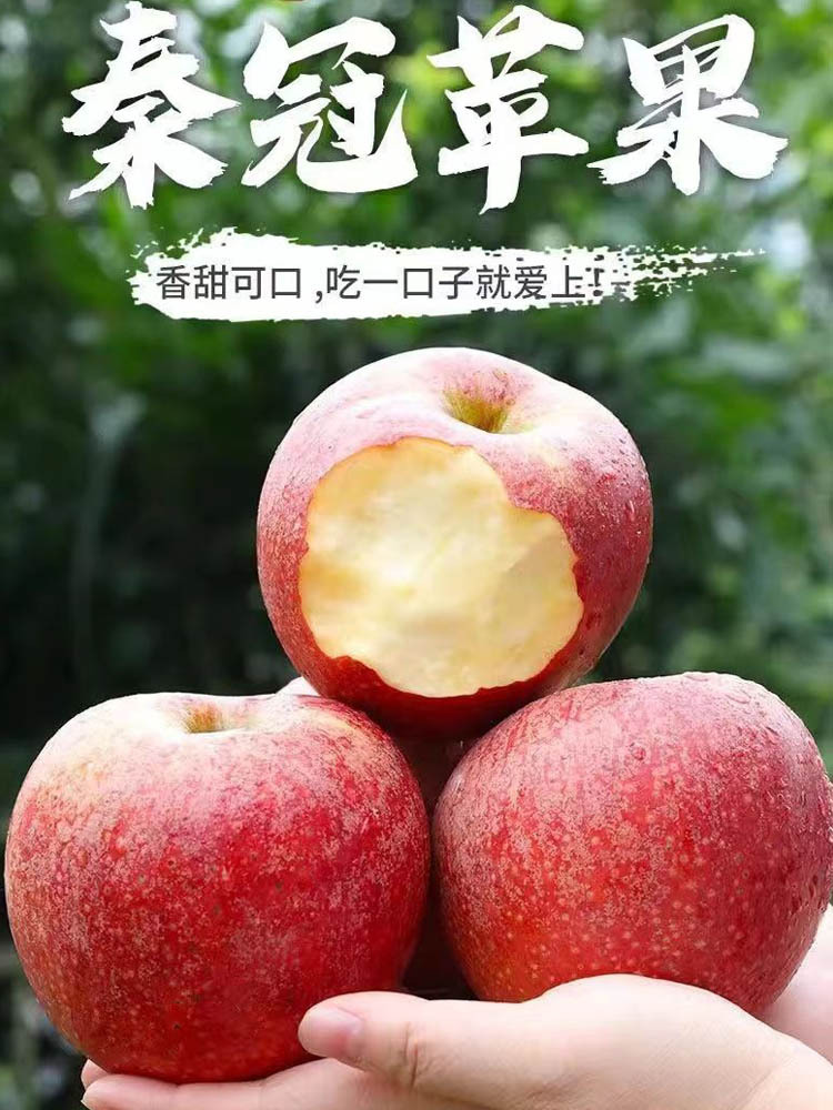 秦冠苹果9斤特大果【净重8.5-9斤】【单果85-90mm】