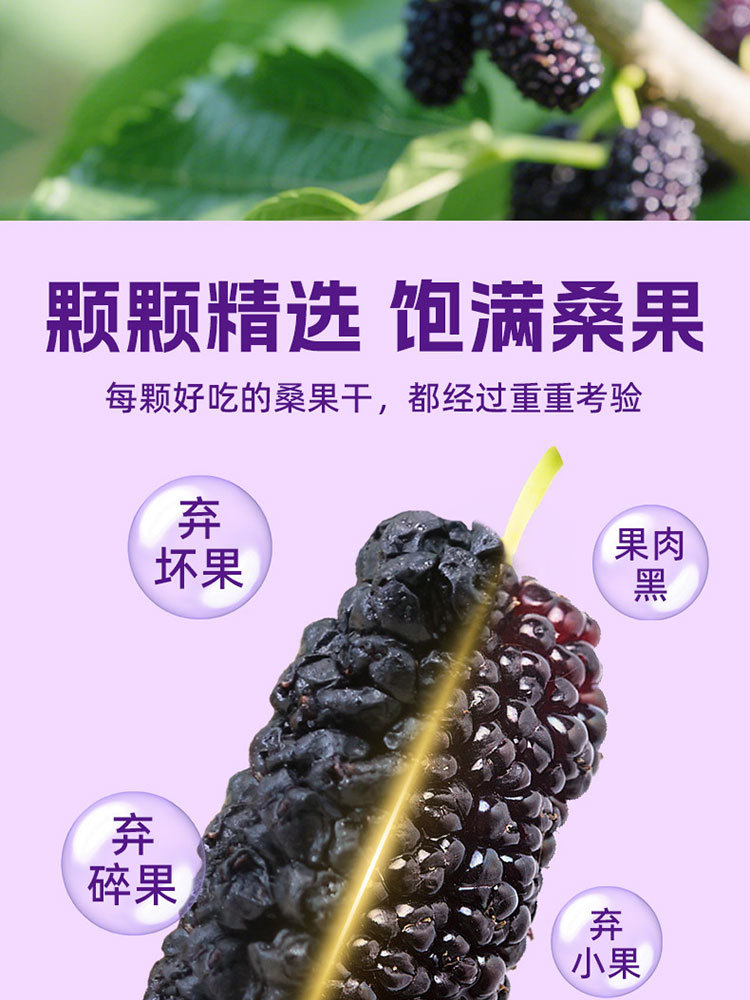 一品玉新疆黑桑葚干100g*5袋