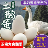 共同