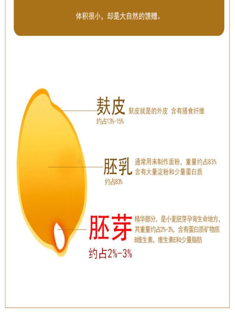 全麦胚芽馒头 24个 刀切全麦馒头 带麸皮馒头健身馒头