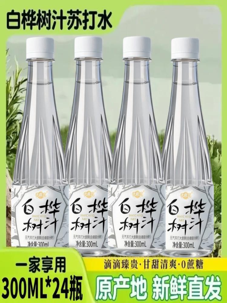 白桦树汁 300ml*24瓶 苏打天然水饮料原汁饮品