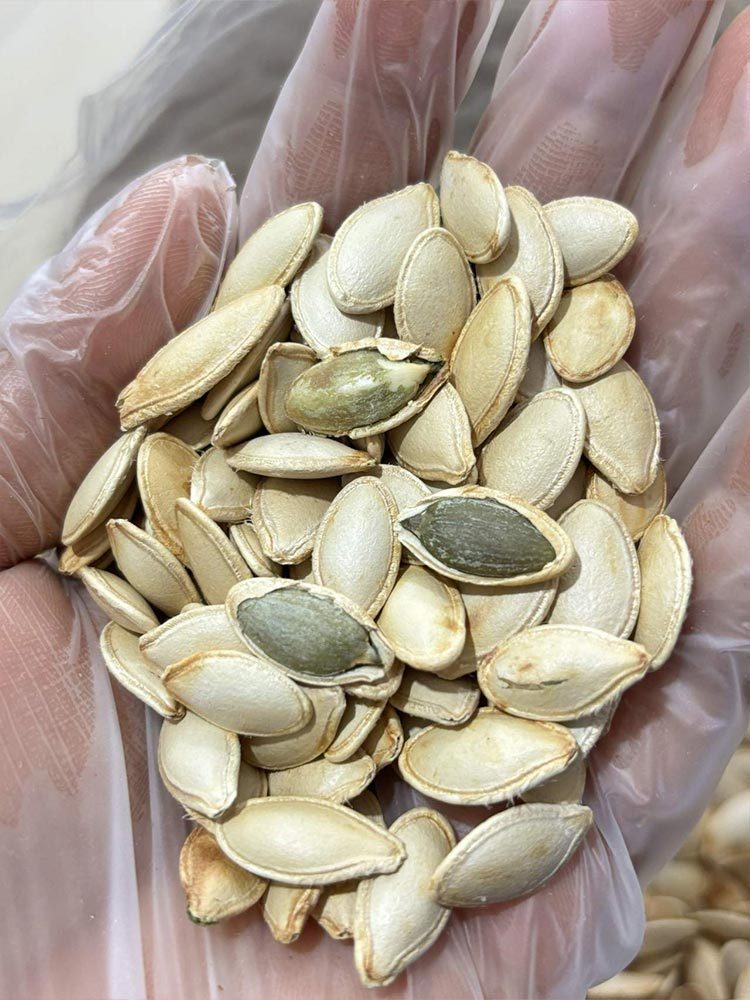 手工精挑原味南瓜子3斤