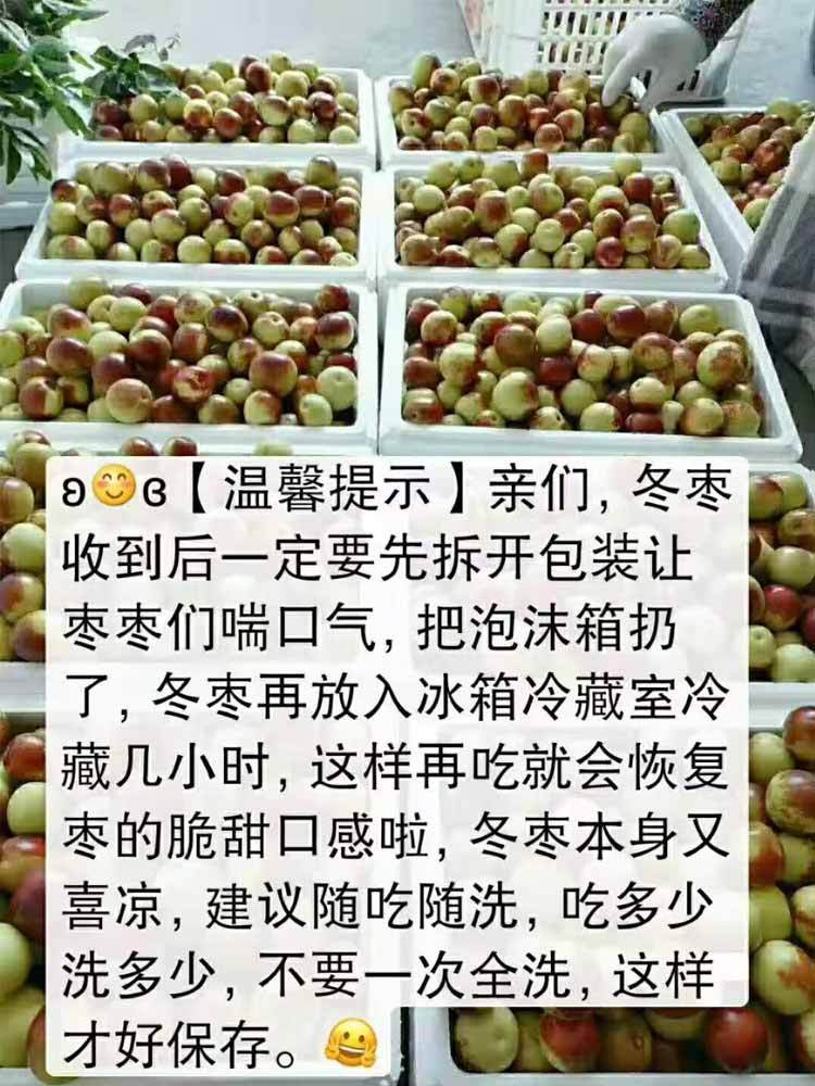 【到手5斤】正宗黄骅孔店冬枣 新鲜现摘现发（京东包邮）