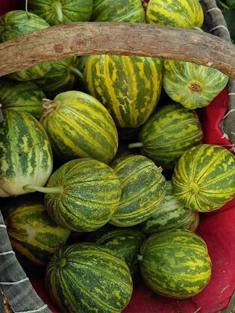 辽宁 花美人蜜罐甜瓜·带箱5斤