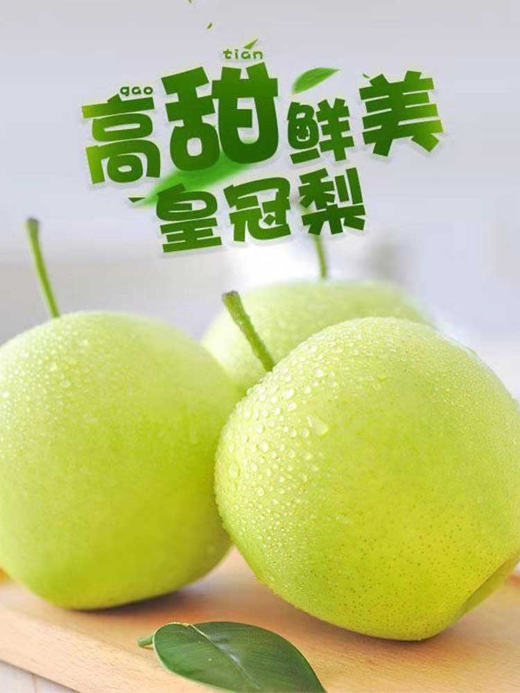 安徽砀山青皇冠梨净重9斤【单果220g+】酥脆爽口 香甜多汁