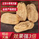 共同