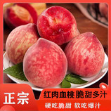 共同