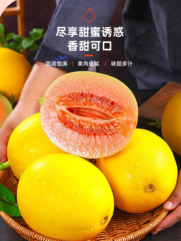 陕西黄河蜜瓜净重8.5-9斤 （黄肉白肉随机发）脆甜多汁 香甜可口果肉细腻 