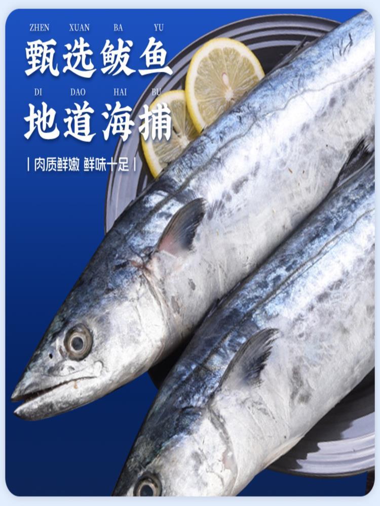 鲅鱼水饺 500g*4袋 速冻水饺营养早餐午餐晚餐海鲜饺子儿童学生