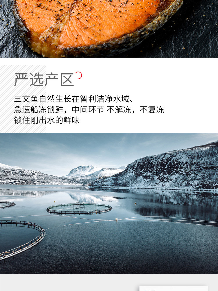 【买一送一】我爱渔 三文鱼圆切300g