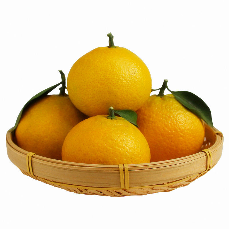 新鲜现摘黄金柑黄金柚纯甜桔柚净重8斤