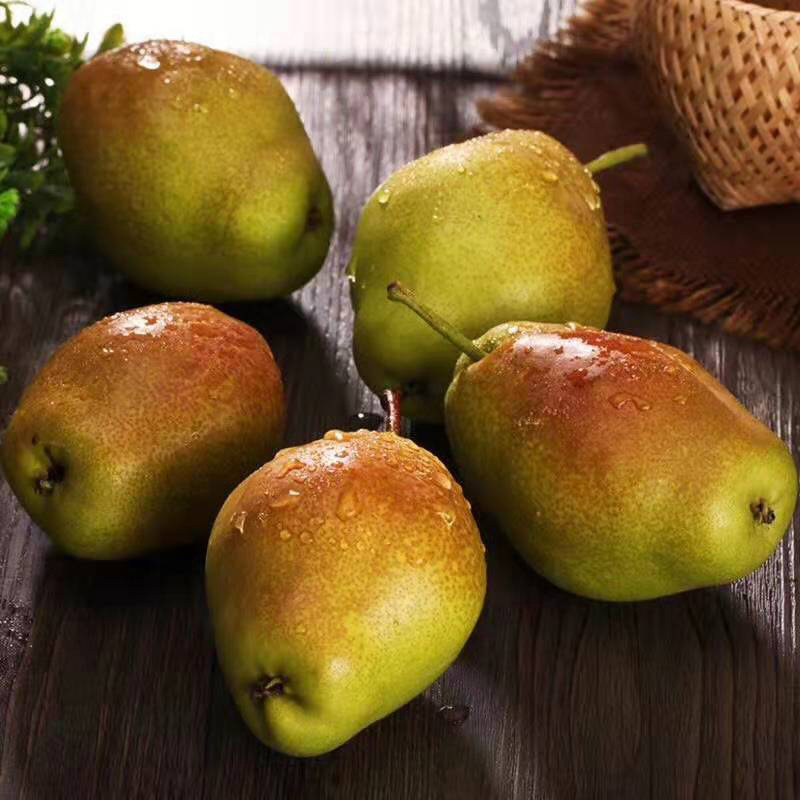 红香梨新鲜水果9斤装