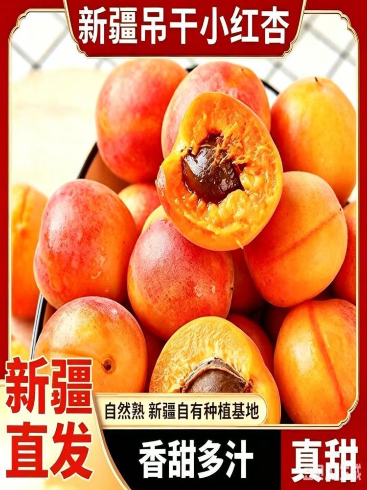 新疆阿克苏小红杏 2斤 18-30g（约50枚左右）