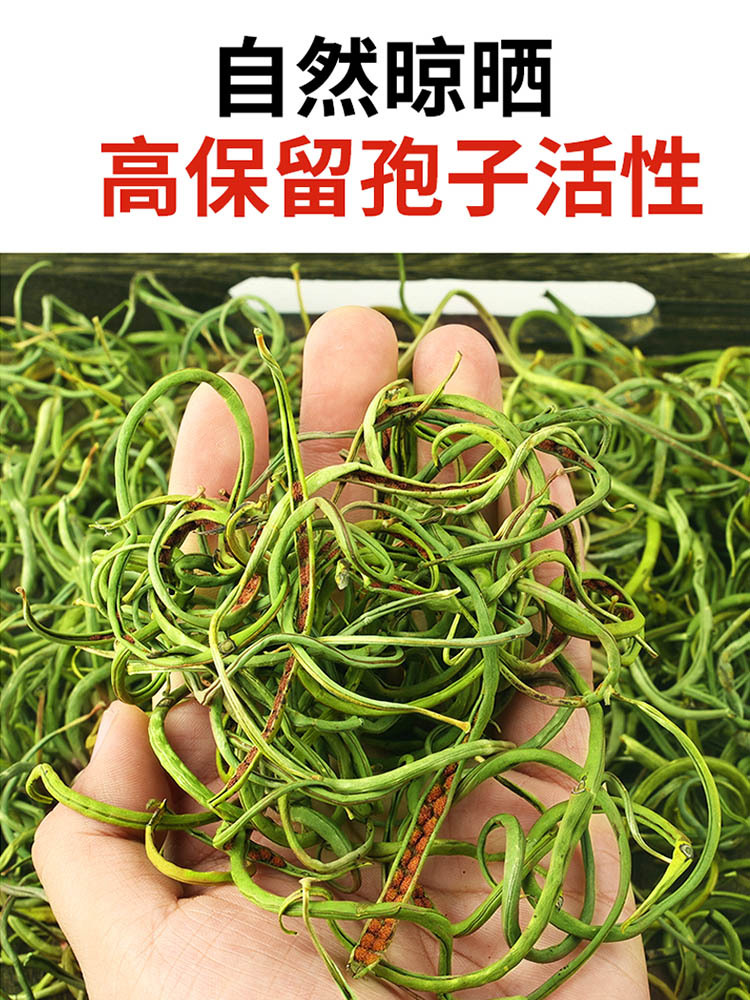 【长白山鲜采】肾精茶50g*3罐