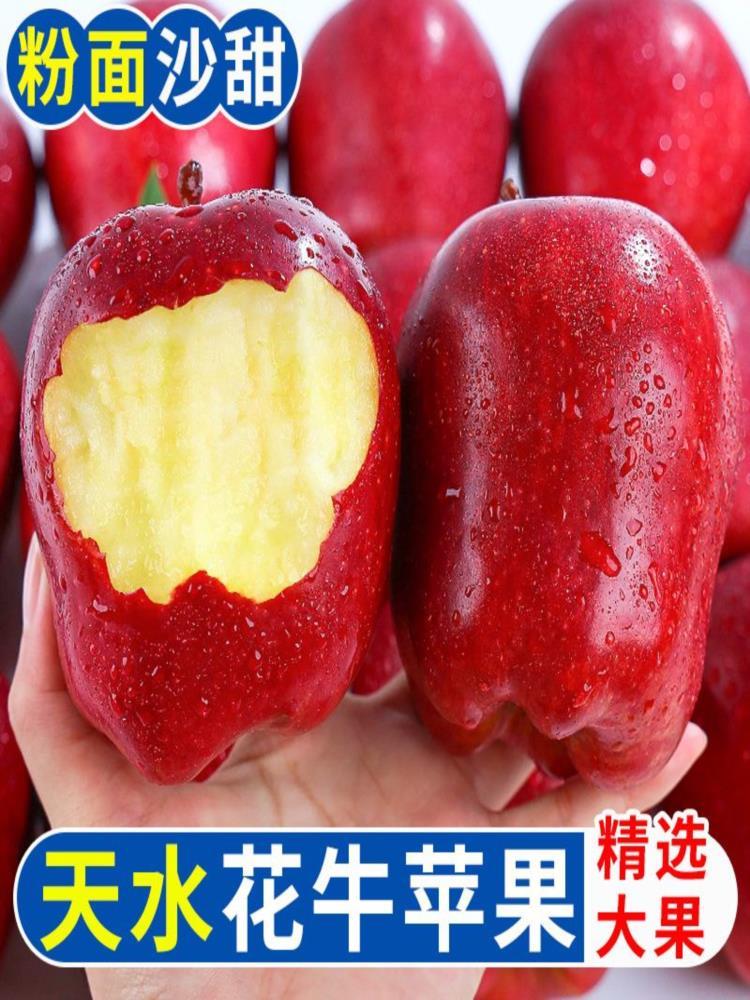 【果园精选】花牛苹果 净重8.5斤装 果径70-80mm  优选甘肃核心产区
