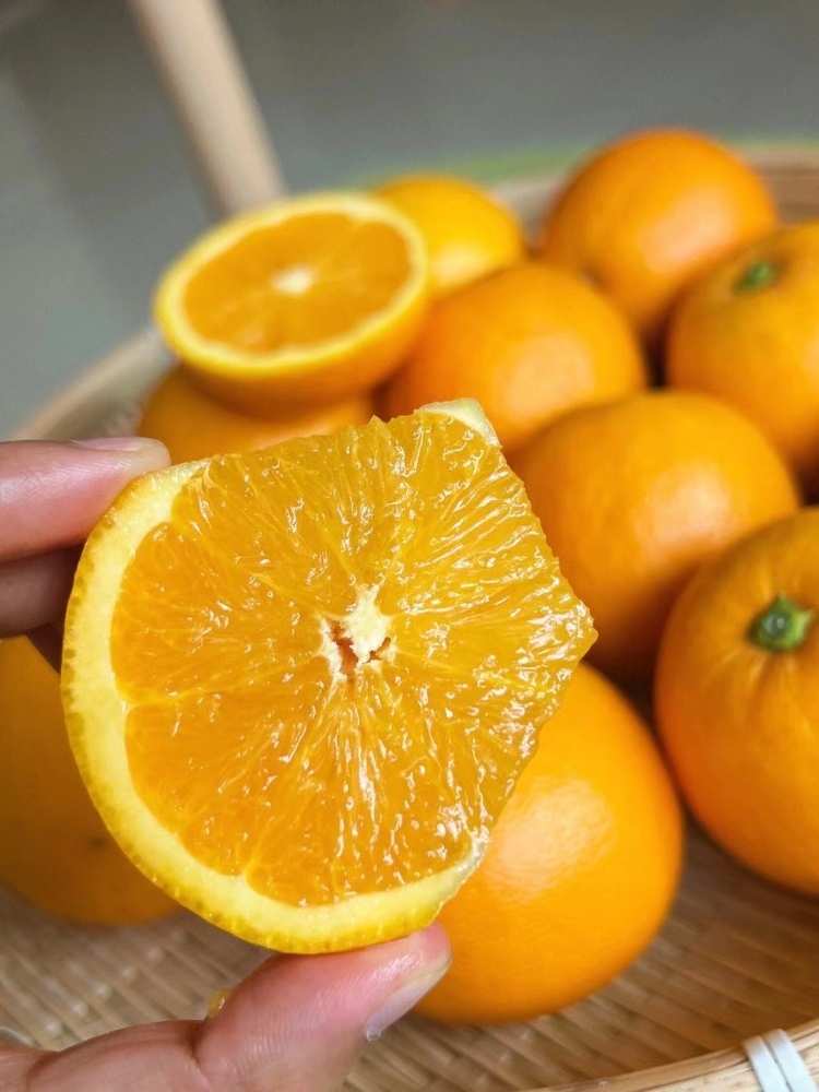 重庆奉节伦晚橙10斤大果脐橙新鲜水果甜鲜当季橙子·10斤大果(含箱重)