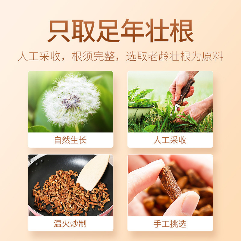 消炎败火蒲公英根茶200g*3罐