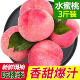 【7-9个左右】【顺丰快递】