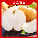 净重5斤