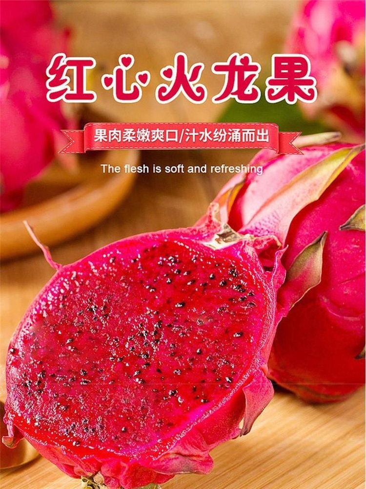 广西红心火龙果·净重5斤大果 【单果6-8两】