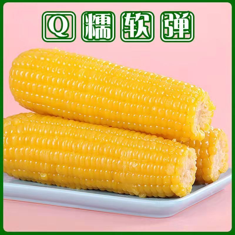 【东北特产】黄糯玉米 10穗/箱 真空玉米 烧烤速食食材