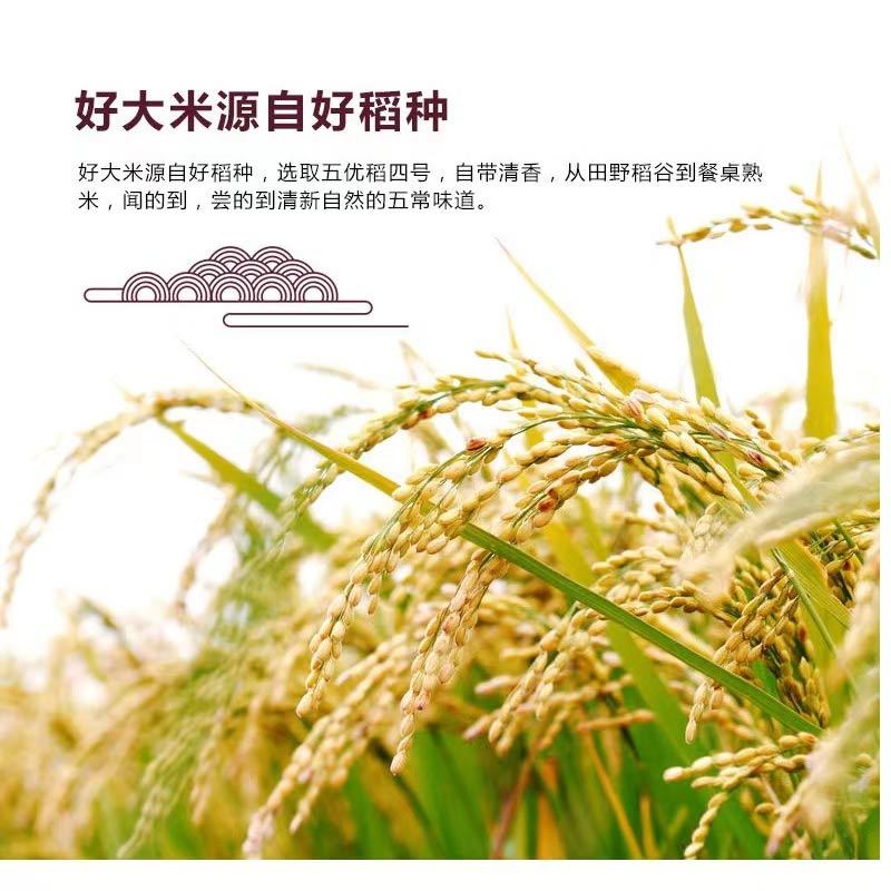 东北黑龙江新米五常大米稻花香2号10斤装