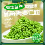 共同