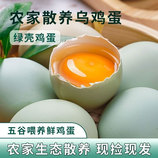 共同