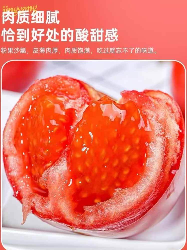 陕西-普罗旺斯水果西红柿 4.5斤以上 沙瓤·汁水超多