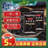 共同