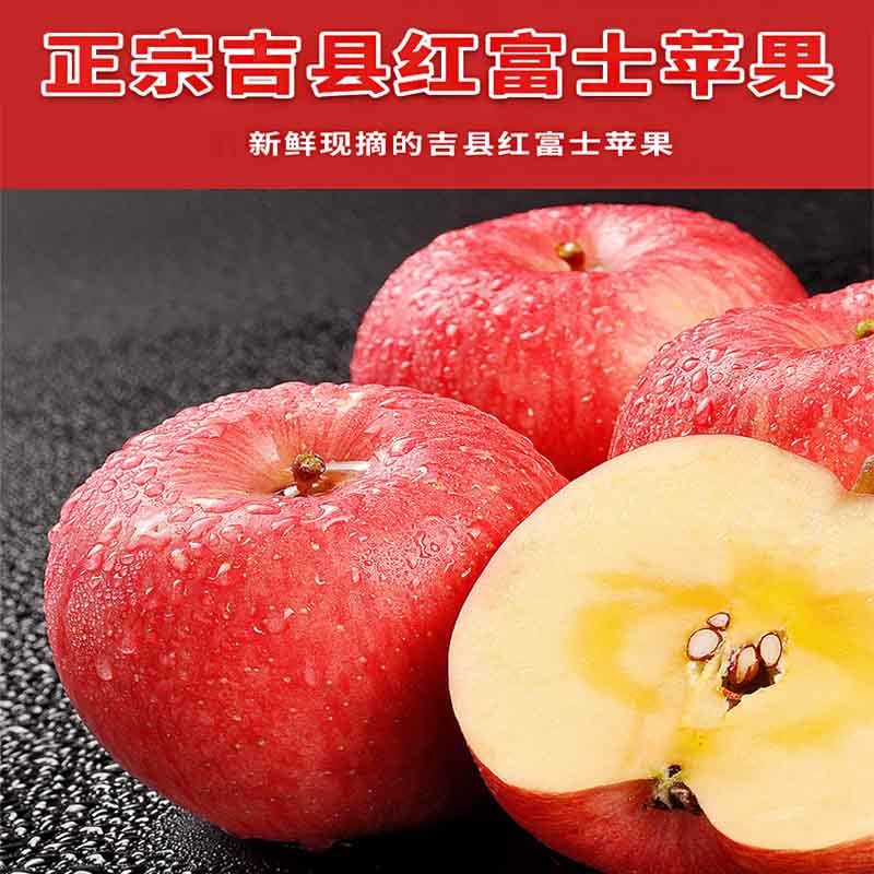 （农博会金奖）山西吉县苹果精品9.8斤中果*1大箱（净重8.5斤）
