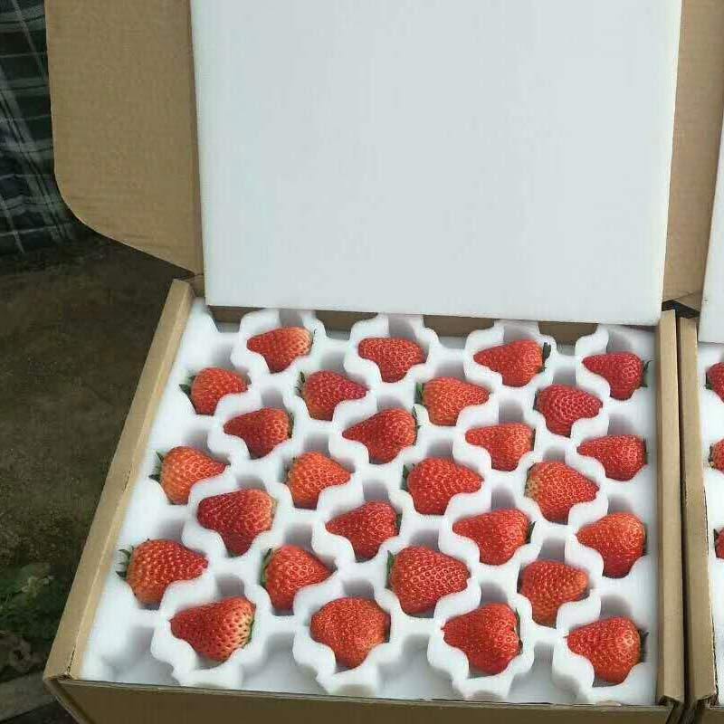 正宗兴寿红颜草莓精品4斤装