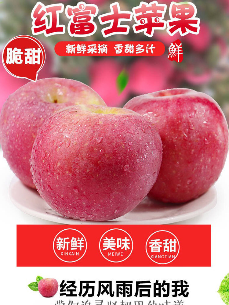 【带箱约9.5斤】陕西苹果红富士苹果大果75MM[净重8.5斤左右]