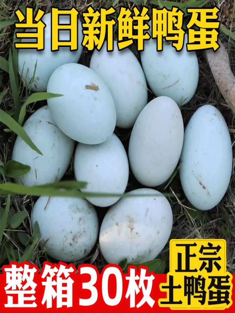 正宗农家散养青皮鸭蛋30枚装（单枚60g+）·统一
